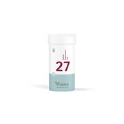 BIOCHEMIE Pflüger 27 Kalium bichromicum D 6 Tabl.