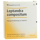 LEPTANDRA COMPOSITUM Ampullen