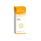 FUCUS SIMILIAPLEX Tropfen