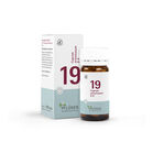 BIOCHEMIE Pflüger 19 Cuprum arsenicosum D 6 Tabl.