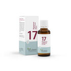 BIOCHEMIE Pflüger 17 Manganum sulfuricum D 6 Tro.