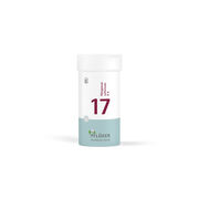 BIOCHEMIE Pflüger 17 Manganum sulfuricum D 6 Tabl.