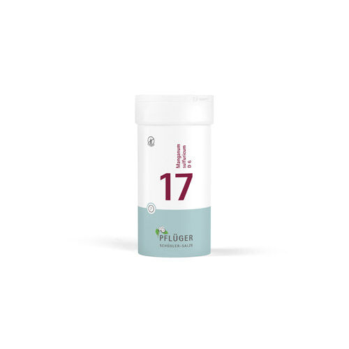 BIOCHEMIE Pflüger 17 Manganum sulfuricum D 6 Tabl.