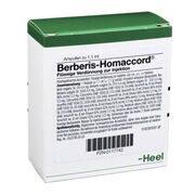 BERBERIS HOMACCORD Ampullen
