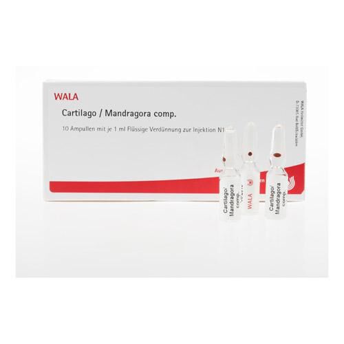 CARTILAGO comp Ampullen