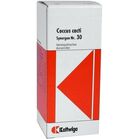 SYNERGON KOMPLEX 30 Coccus cacti Tropfen SYNERGON KOMPLEX 30 Coccus cacti Tropfen