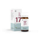 BIOCHEMIE Pflüger 17 Manganum sulfuricum D 6 Tabl.