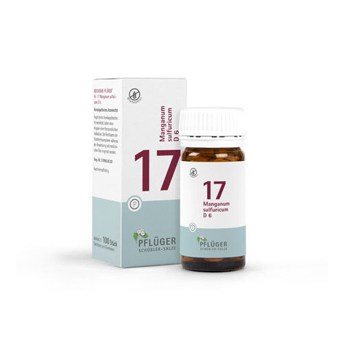 BIOCHEMIE Pflüger 17 Manganum sulfuricum D 6 Tabl.