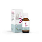 BIOCHEMIE Pflüger 3 Ferrum phosphoricum D 12 Glob.