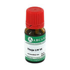THUJA LM 6 Dilution