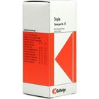 SYNERGON KOMPLEX 6 Sepia Tropfen SYNERGON KOMPLEX 6 Sepia Tropfen