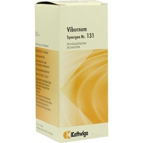 SYNERGON KOMPLEX 131 Viburnum Tropfen