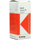 SYNERGON KOMPLEX 91 Salix N Tropfen SYNERGON KOMPLEX 91 Salix N Tropfen
