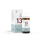 BIOCHEMIE Pflüger 13 Kalium arsenicosum D 6 Tabl.